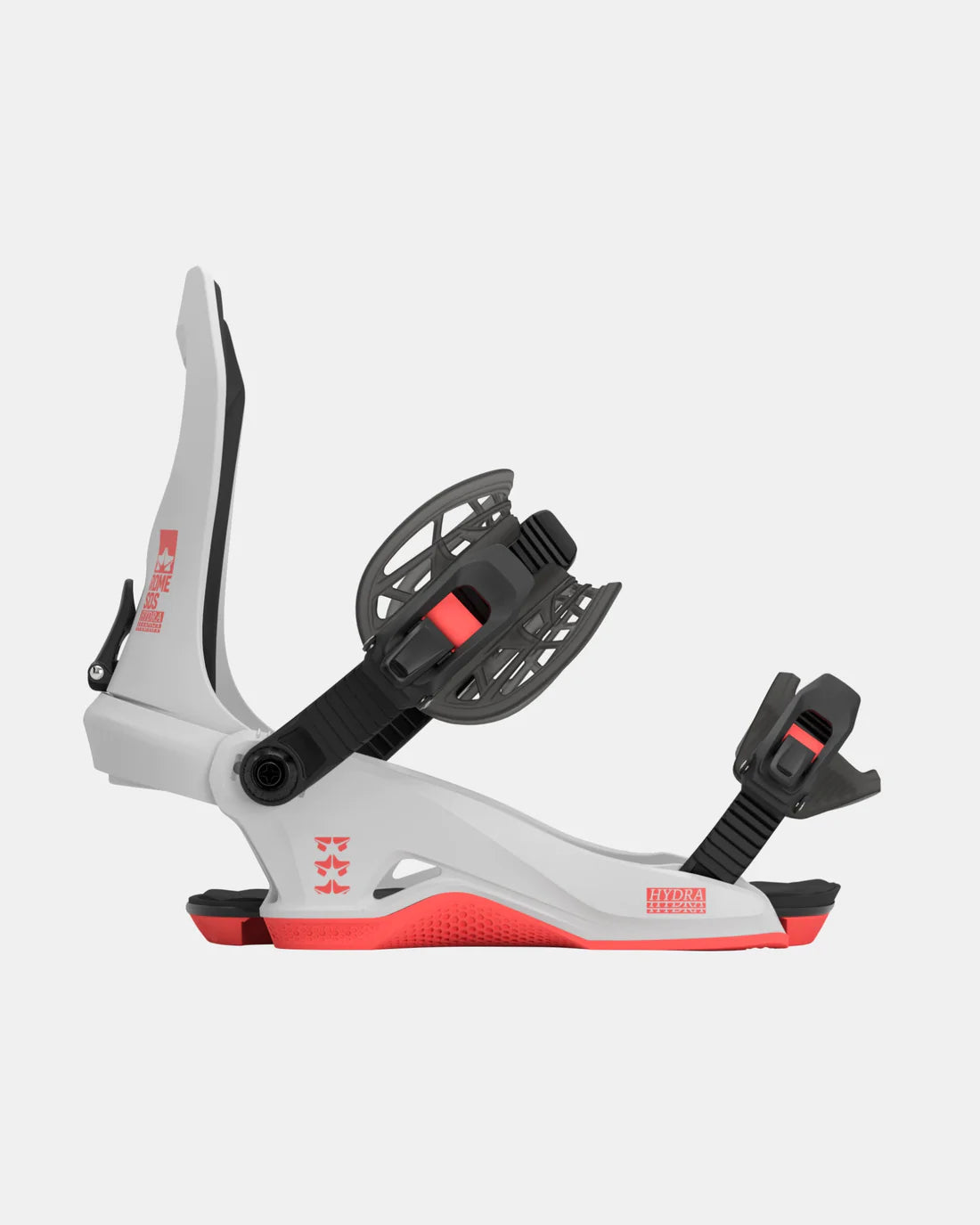 Hydra 23-24
